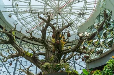 #6 Green Planet Dubai (City Walk) — Top 10 Family Attractions in Dubai in 2026