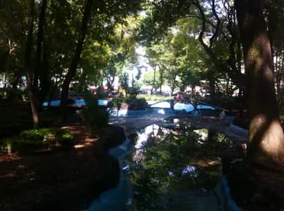 #8 Roma and Condesa Neighborhoods — Top 10 Things to Do in Mexico City 2026