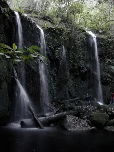 #5 Sierra de Manantlan Biosphere Reserve — Top 10 Mexican Biodiversity Hotspots