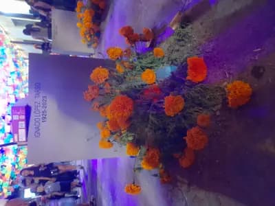 #5 Aguascalientes Festival de Calaveras — Top 10 Day of the Dead Celebrations in Mexico for 2026