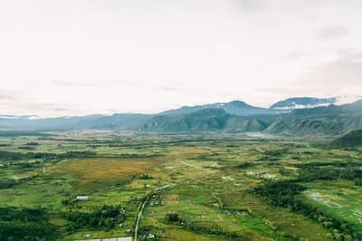 #9 Papua Wamena — Top 10 Indonesian Coffees in 2026