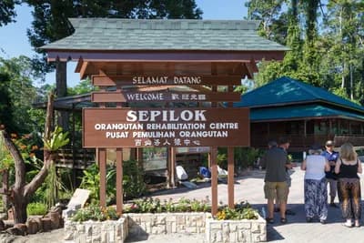#1 Sepilok Orangutan Rehabilitation Centre, Sabah — Top 10 Malaysian Rainforest & Wildlife Experiences in 2026