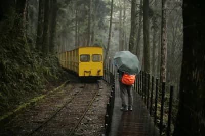 #7 Alishan — Top 10 Taiwan Destinations in 2026