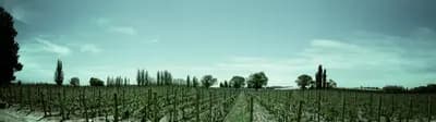 #3 Achaval-Ferrer Finca Altamira — Top 10 Argentine Wines & Wineries in 2026