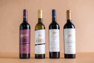 #8 Bodega Colomé Torrontes — Top 10 Argentine Wines & Wineries in 2026