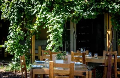 #8 Dine at a Vineyard Restaurant — Top 10 Things to Do in Mendoza in 2026