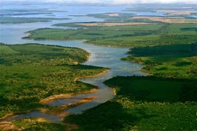 Ibera National Park