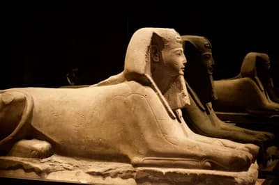 #2 Sphinx of Hatshepsut (ca. 1479–1458 B.C.) — Ancient Egypt's Greatest Treasures at the Metropolitan Museum