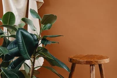 #5 Earthy Color Palettes — Top 10 Interior Design Trends That Actually Look Good in Real Homes