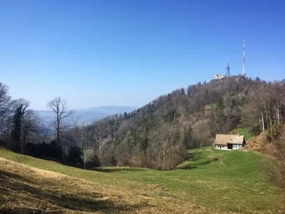 #6 Uetliberg Mountain — Top 10 Things to Do in Zurich