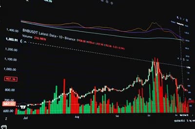 #5 BNB (BNB) — Top 10 CoinGecko — Top Cryptocurrencies — March 21, 2026