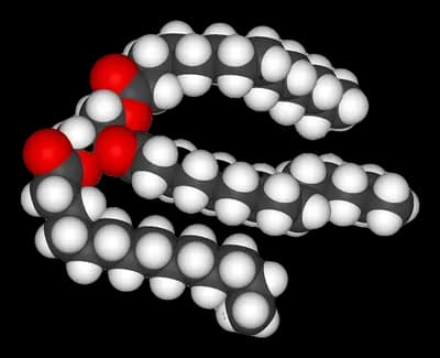 #3 Trans Fats (Partially Hydrogenated Oils) — Top 10 Foods That Are Aging You Faster — What to Cut to Look and Feel Younger