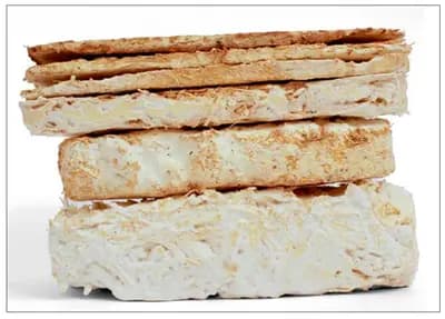 #10 Mycoworks — Top 10 US Food Technology Companies