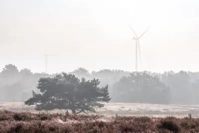 #1 Vestas Wind Systems — Top 10 European Green Tech Companies 2026