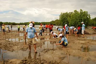 #2 Swiss Re Climate Adaptation Solutions — Top 10 US Climate Risk Insurance Solutions