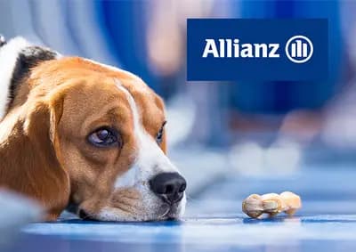 #7 Allianz Tierkrankenversicherung — Germany — Top 10 European Pet Insurance Companies