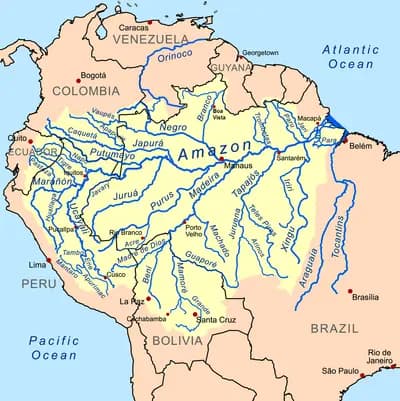 #5 Amazon River Cruise from Iquitos — Top 10 Best Things to Do in Peru