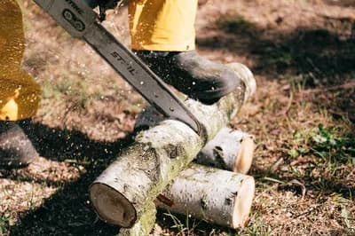 #1 Logging / Lumberjack — Top 10 Most Dangerous Jobs in the World (2026)