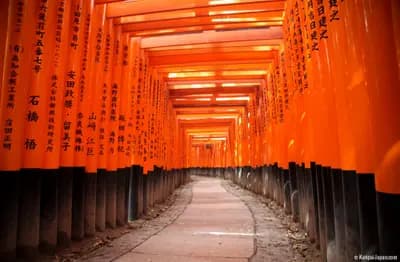 #6 Explore Kyoto's Fushimi Inari Shrine (10,000 Torii Gates) — Japan Starter Pack: Essential First-Time Visitor Experiences
