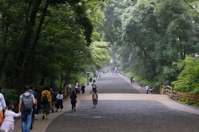 #3 Explore Meiji Shrine & Forest Walk — Top 10 Things to Do in Tokyo 2026