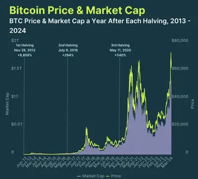 #1 Bitcoin (BTC) — Top 10 CoinGecko — Top Cryptocurrencies — May 12, 2026