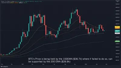 #6 Bitcoin (BTC) — Top 10 Trending Crypto Coins - Week 20, 2026