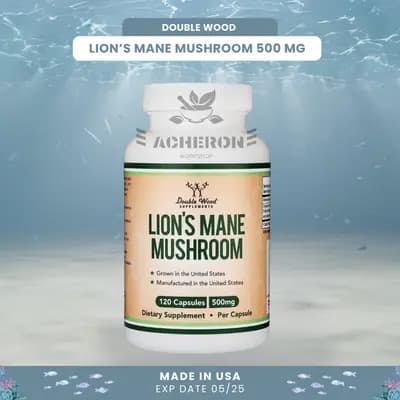 #1 Lions Mane Mushroom — Top 10 Best Nootropics and Brain Supplements in 2026