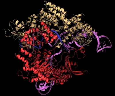 #2 CRISPR Base Editing and Prime Editing — 10 Biotech Breakthroughs Reaching Patients by 2030 — Ranked by Clinical Impact