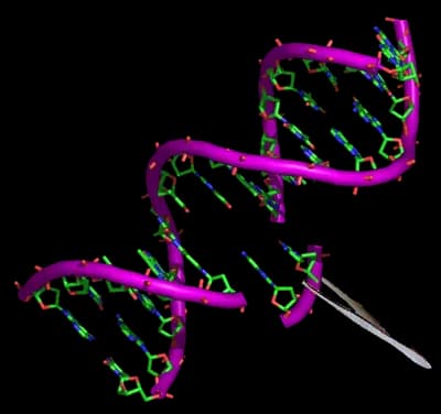 #8 Live Biotherapeutic Products and Microbiome Medicine — 10 Biotech Breakthroughs Reaching Patients by 2030 — Ranked by Clinical Impact