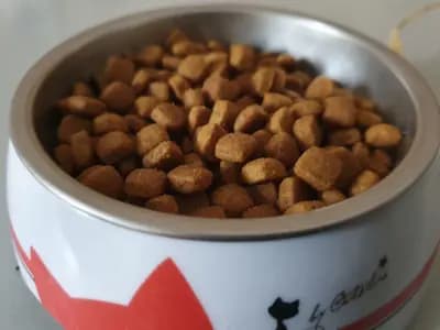 #6 Eliminate Ultra-Processed Foods — Top 10 Evidence-Based Ways to Reduce Chronic Inflammation