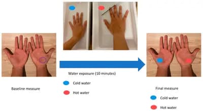 #3 Cold Water Exposure — Top 10 Neurowellness Techniques for Nervous System Regulation in 2026