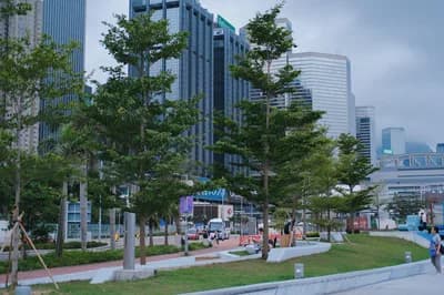 #8 Central & Western District Promenade — Top 15 Best Parks & Outdoor Play Areas in Hong Kong 2026