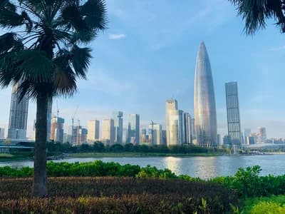 #7 Shenzhen Bay Park — Top 15 Best Things to Do in Shenzhen With Kids 2026