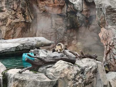 #1 Chimelong Ocean Kingdom (长隆海洋王国) — Top 15 Best Things to Do in Zhuhai With Families 2026