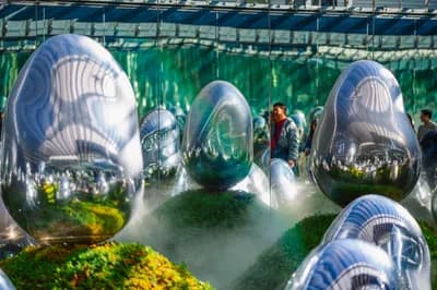 #7 teamLab Borderless & Planets Tokyo — Top 20 Best Family Destinations in Japan From Hong Kong 2026