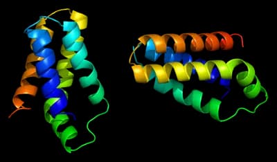 #2 Rapamycin — Top 10 Evidence-Based Longevity Supplements & Compounds Every Biohacker Should Know
