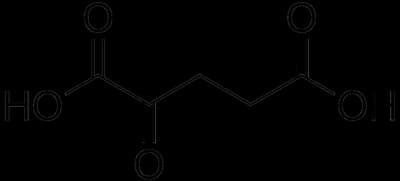 #6 Alpha-Ketoglutarate (AKG) — Evidence-Based Longevity Compounds Ranked by Biohacker Impact