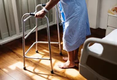 #7 Fisetin — Evidence-Based Longevity Compounds Ranked by Biohacker Impact