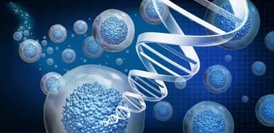 #10 Epigenetic Reprogramming (Yamanaka Factors / OSK) — Evidence-Based Longevity Compounds Ranked by Biohacker Impact