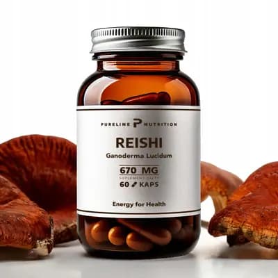 #3 Reishi (Ganoderma lucidum) — Top 10 Functional Mushrooms for Brain Health and Energy in 2026