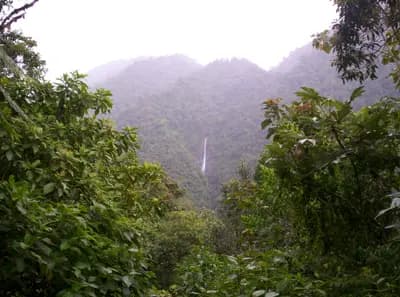 #3 Costa Rica — Osa Peninsula & the Regenerative Rainforest Economy — Top 10 Regenerative Travel Destinations Making a Positive Impact in 2026
