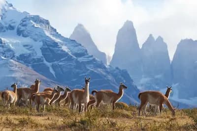 #4 Patagonia, Chile & Argentina — The Route of Parks Rewilding Corridor — Top 10 Regenerative Travel Destinations Making a Positive Impact in 2026