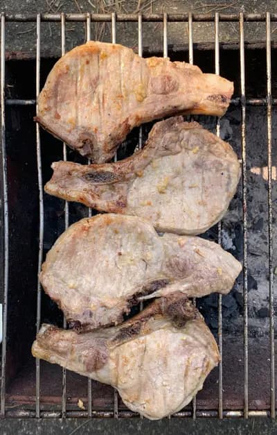 #9 Balsamic Rosemary Vinegar Marinade — 10 Best Grilling Marinades for Summer 2026