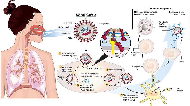 #4 Annual COVID Booster Necessity — Top 10 Most Debated Vaccine Topics in 2026