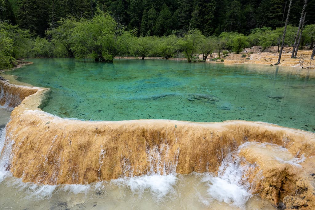 #2 Giant Panda National Park, Sichuan — Top 10 China National Parks & Nature Reserves