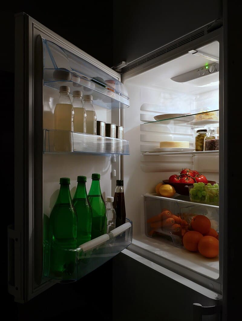#3 Chest Fridge (2009) — Top 10 Hacker News — Top Stories — March 22, 2026