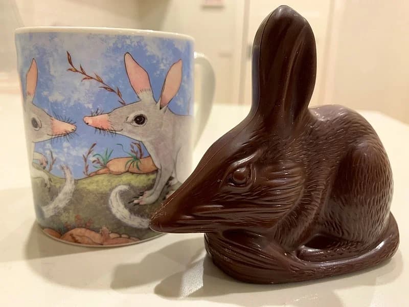 #5 Bilby Easter — Australia — Top 10 Easter Traditions Around the World in 2026: Celebrations You Must See